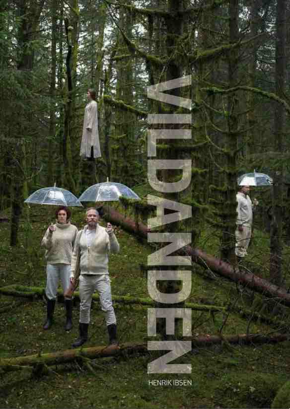 Plakat Vildanden liten